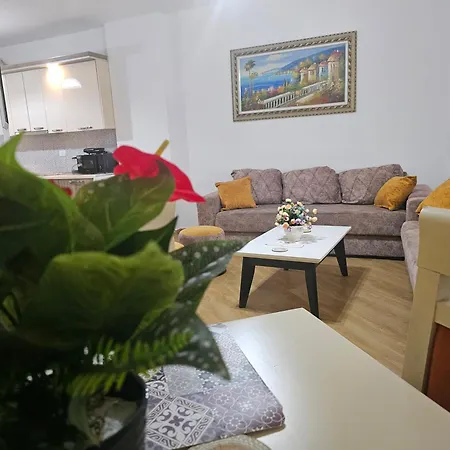 Bral Plepa - Two-bedroom Beachfront